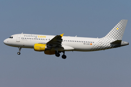 Более 200 испанских самолетов заправят биотопливом из отходов оливок