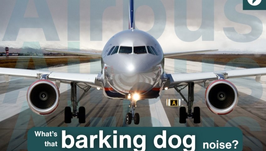 ПОЧЕМУ САМОЛЁТЫ AIRBUS ИЗДАЮТ ЗВУК, ПОХОЖИЙ НА СОБАЧИЙ ЛАЙ? ОБЪЯСНЕНИЕ ШУМА PTU