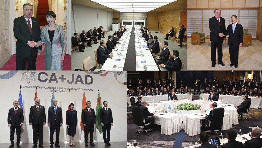 OFFICIAL VISIT TO JAPAN